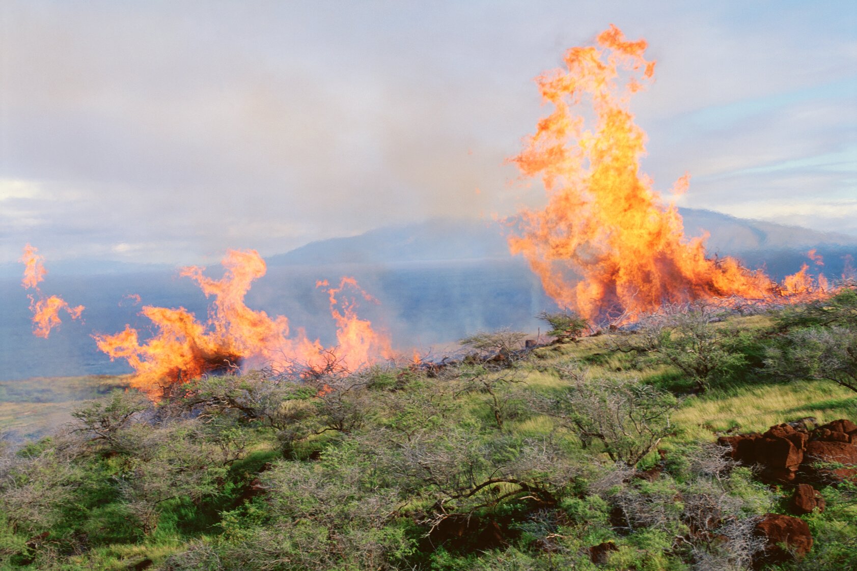 Aerial view of forest fire